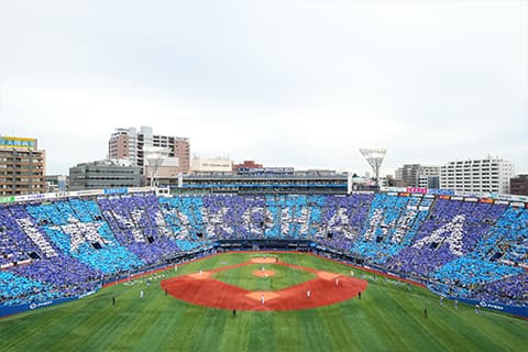 NPB Game at Yokohama Stadium